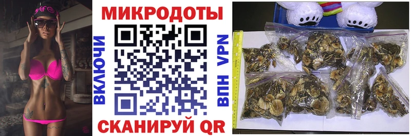наркота  Саратов  ссылка на мегу зеркало  Галлюциногенные грибы Cubensis 